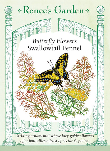 Butterfly Flowers - Swallowtail Fennel