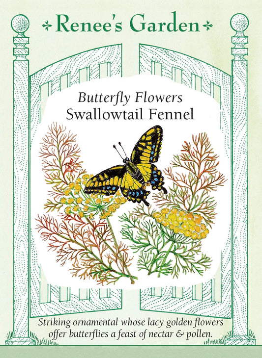 Butterfly Flowers - Swallowtail Fennel