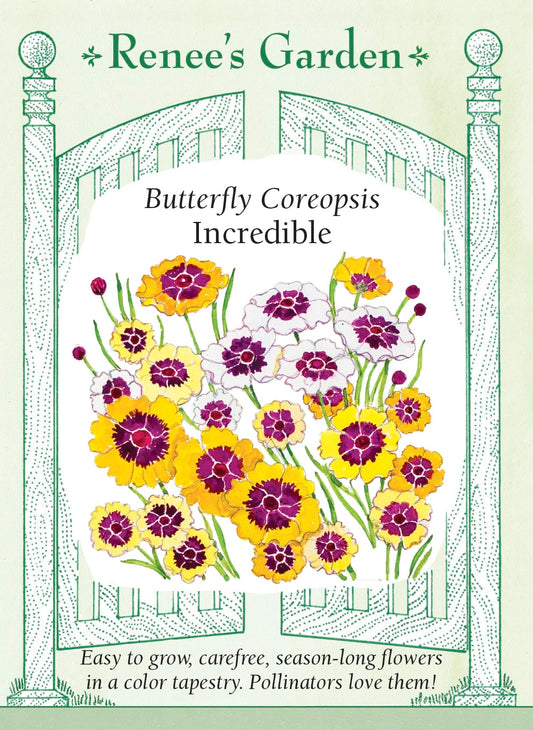 Butterfly Coreopsis - Incredible