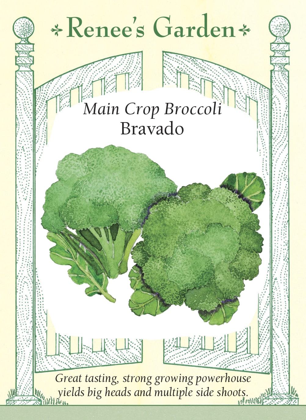 Main Crop Broccoli - Bravado