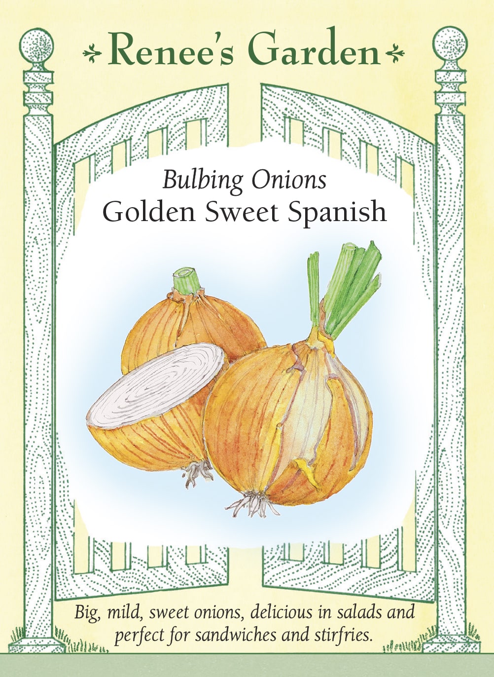 Bulbing Onions - Golden Sweet Spanish