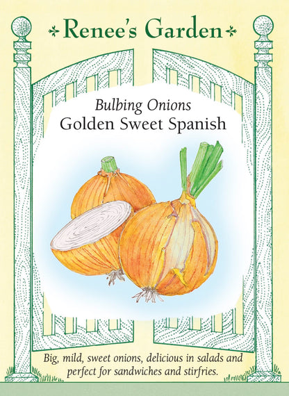 Bulbing Onions - Golden Sweet Spanish