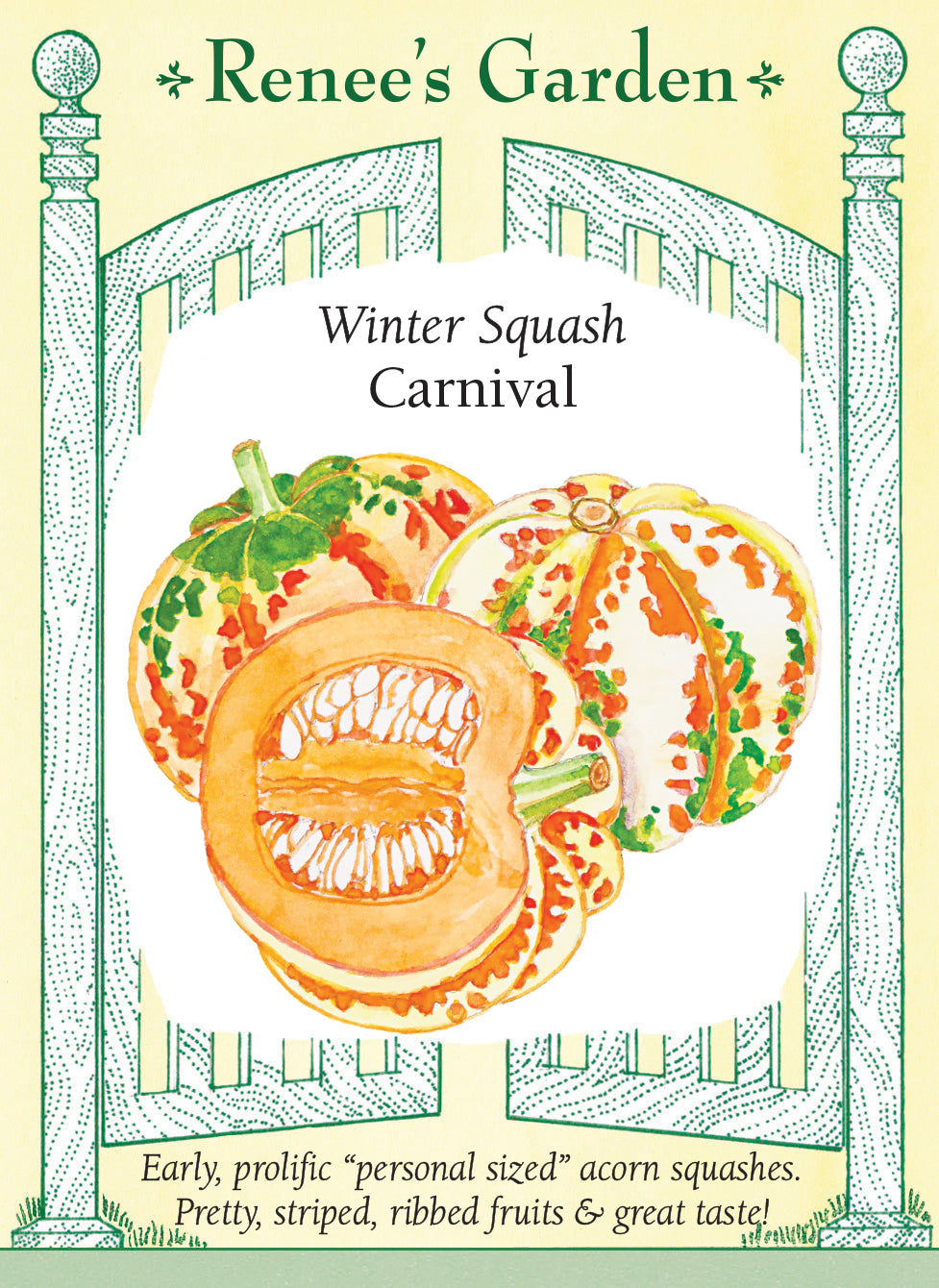 Winter Squash - Carnival