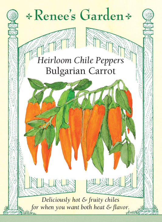 Heirloom Chiles - Bulgarian Carrot