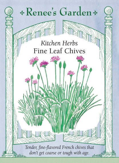 Kitchen Herbs - Fine Leaf Chives