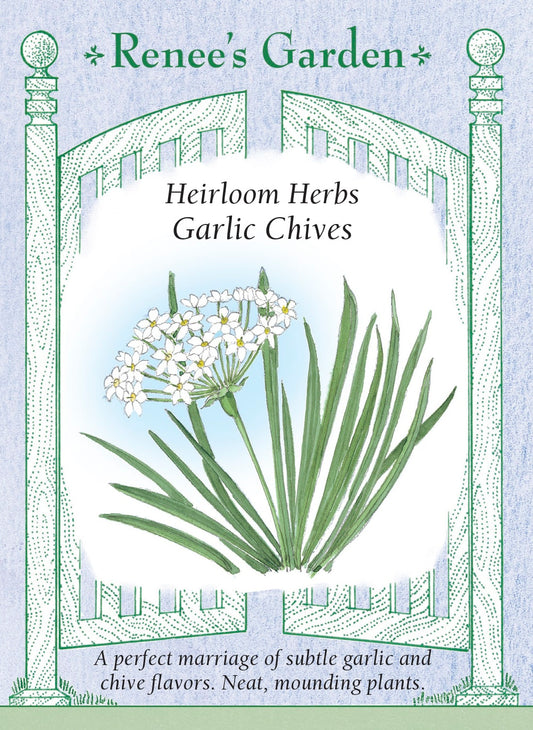 Heirloom Herbs - Garlic Chives
