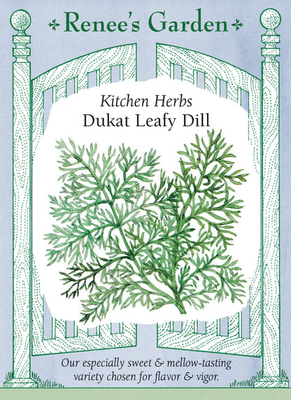 Kitchen Herbs - Dukat Leafy Dill