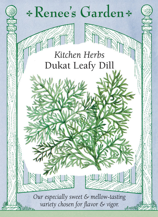 Kitchen Herbs - Dukat Leafy Dill