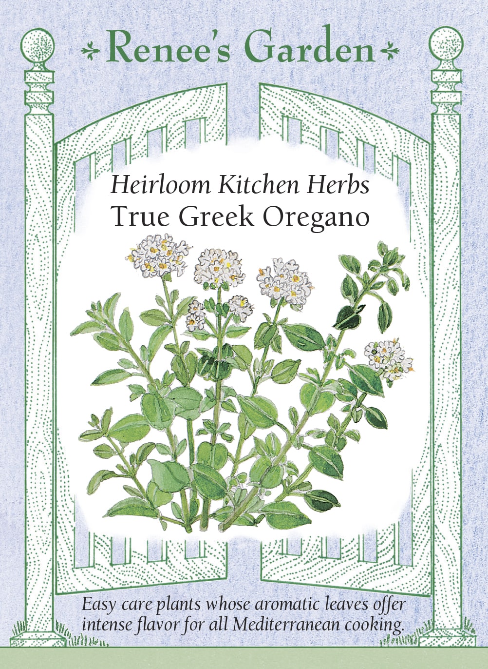 Heirloom Kitchen Herbs - True Greek Oregano