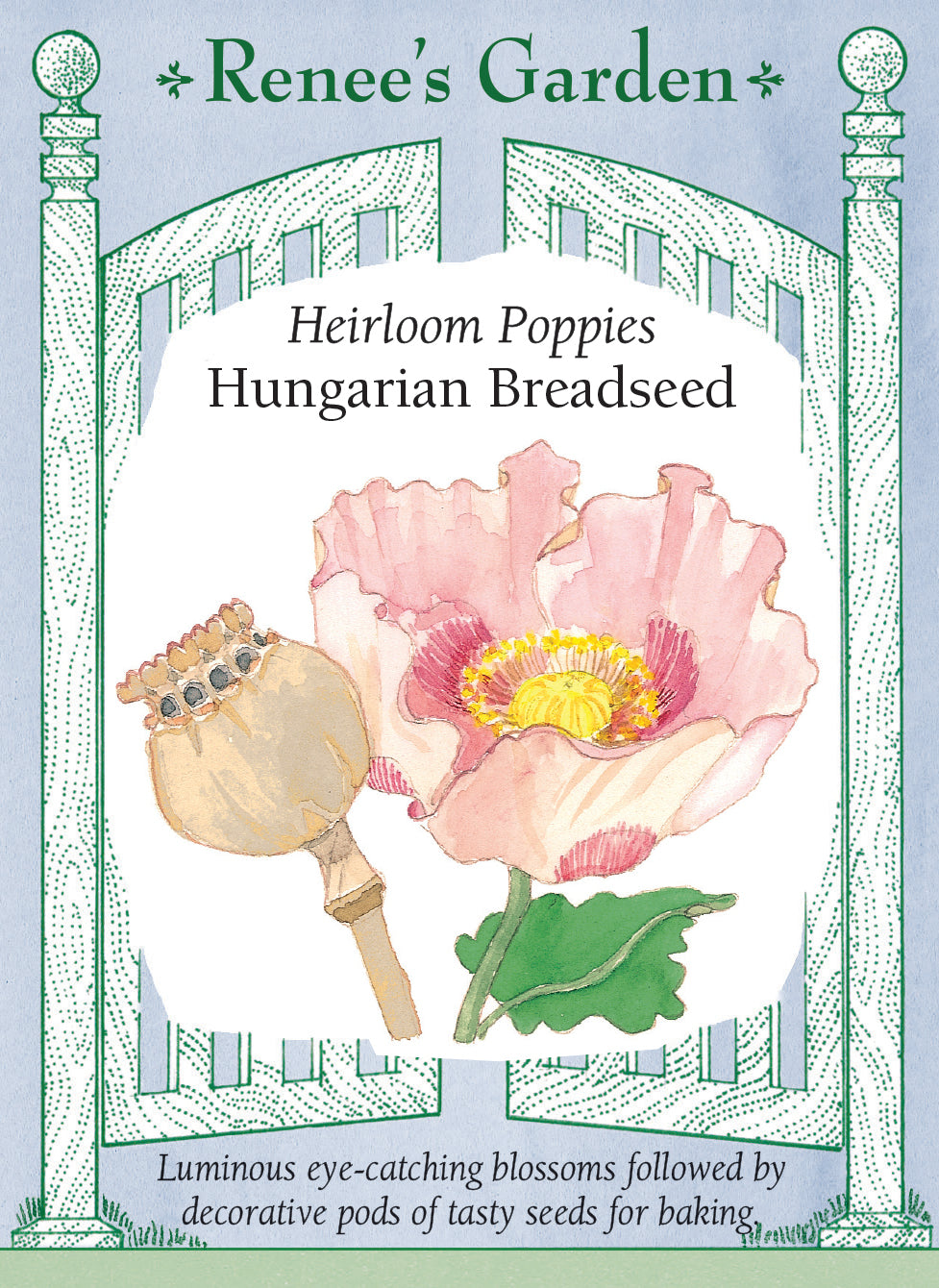 Heirloom Poppies - Hungarian Breadseed