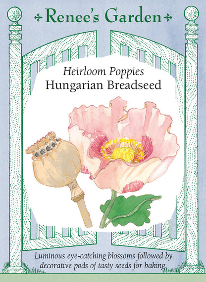 Heirloom Poppies - Hungarian Breadseed