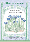 Scented Herbs - Lavender Hidcote
