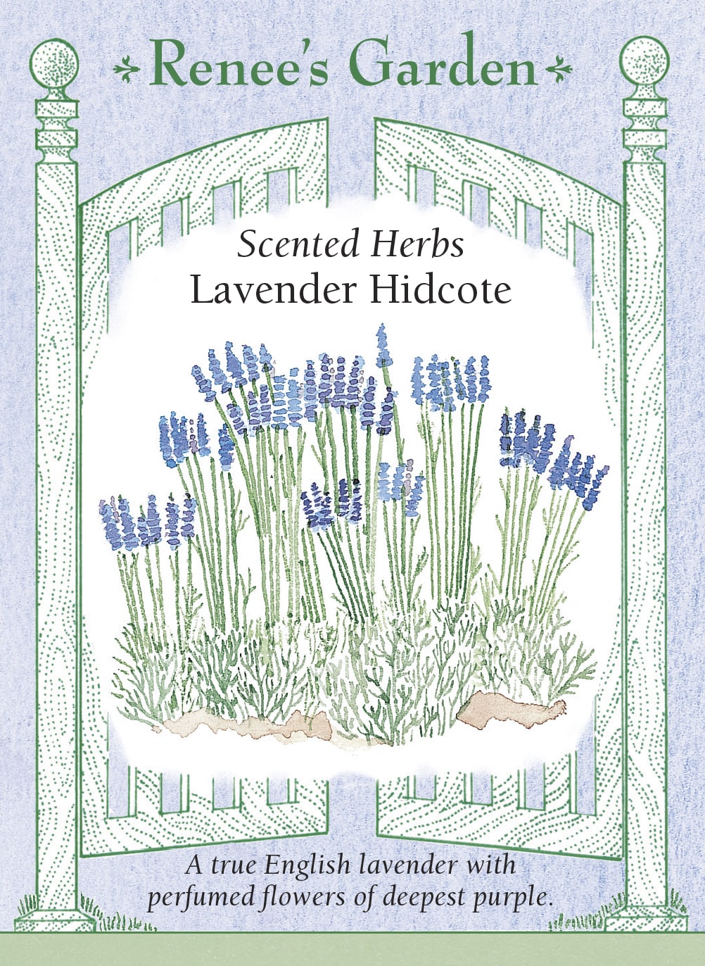 Hand-Picked Seed Bundle - Wellness Garden