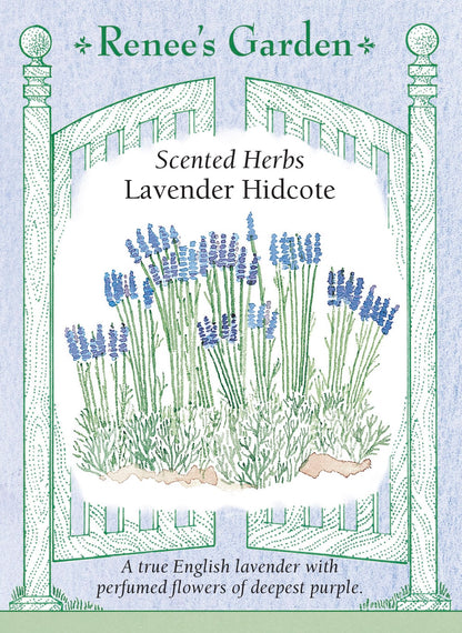 Hand-Picked Seed Bundle - Wellness Garden