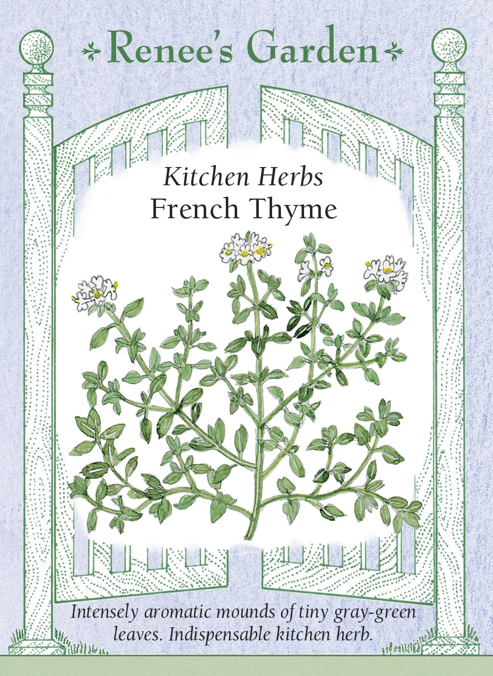 Kitchen Herbs - French Thyme