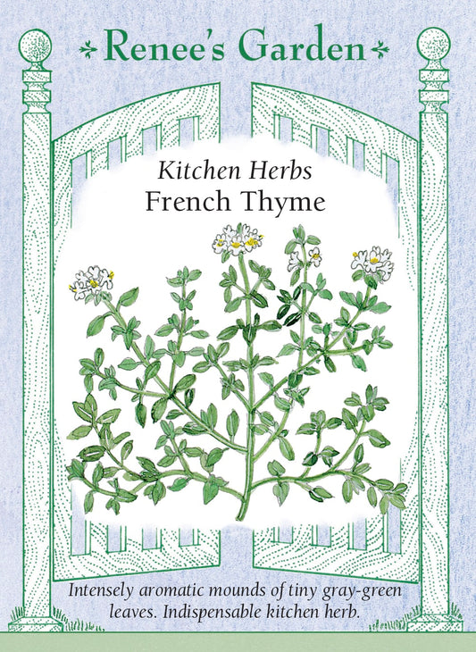 Kitchen Herbs - French Thyme