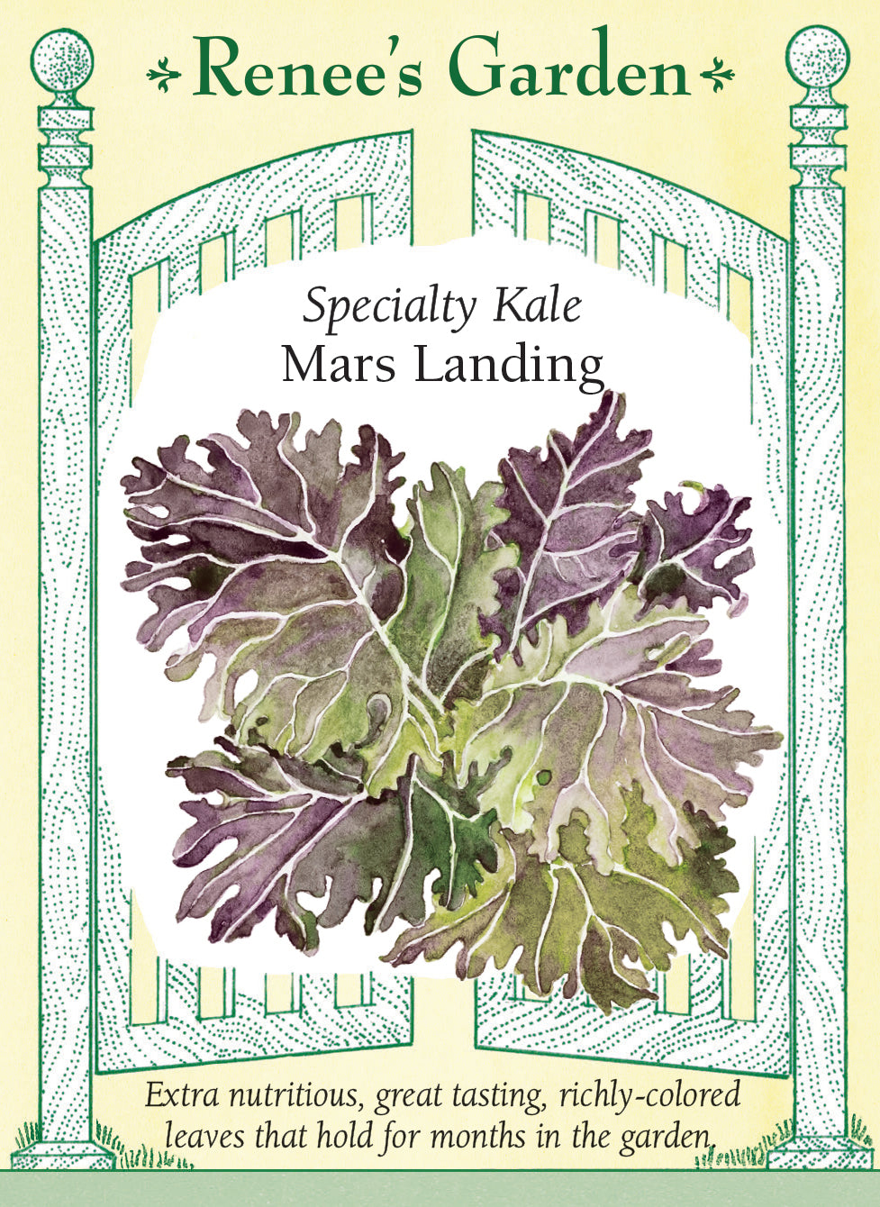Specialty Kale - Mars Landing