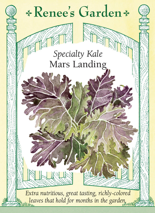 Specialty Kale - Mars Landing