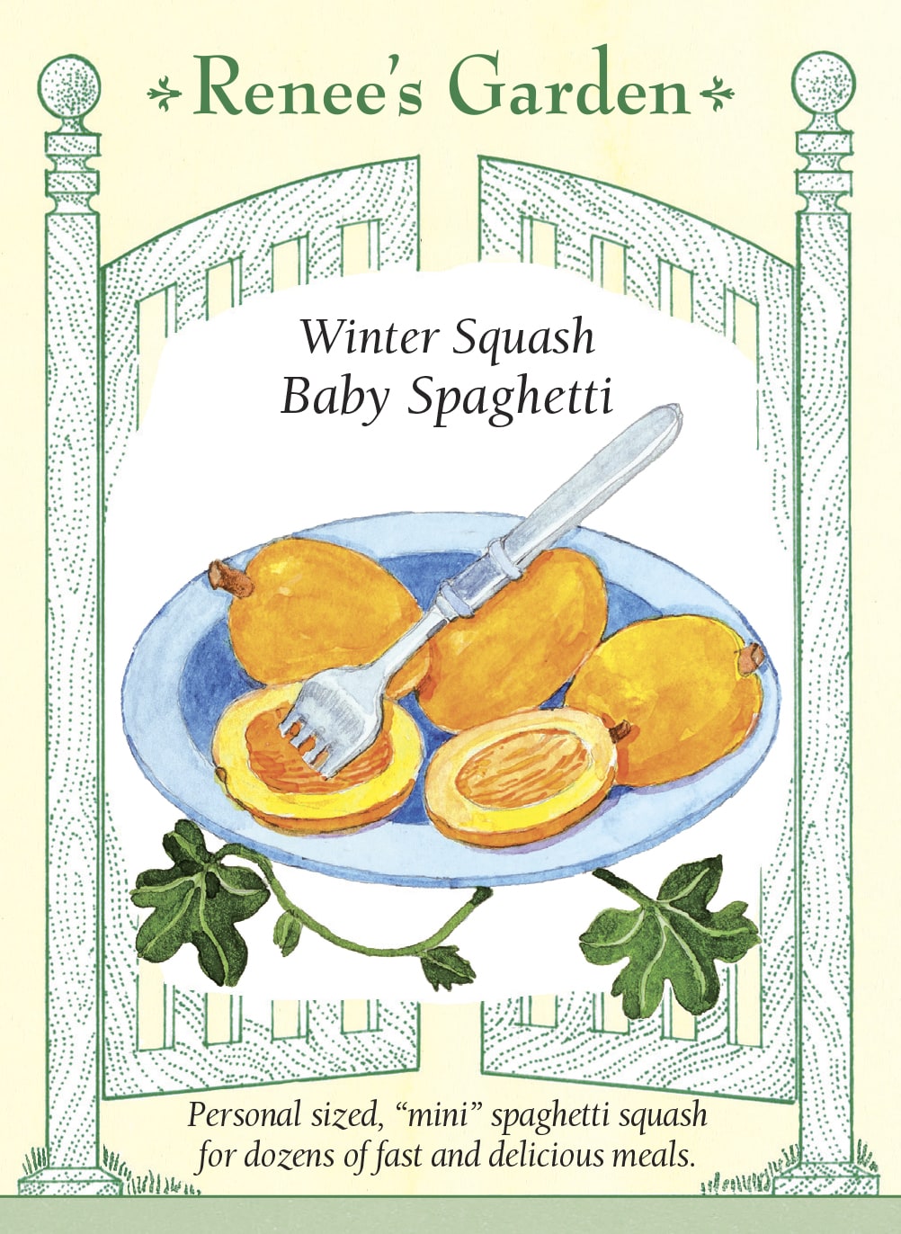 Winter Squash - Baby Spaghetti