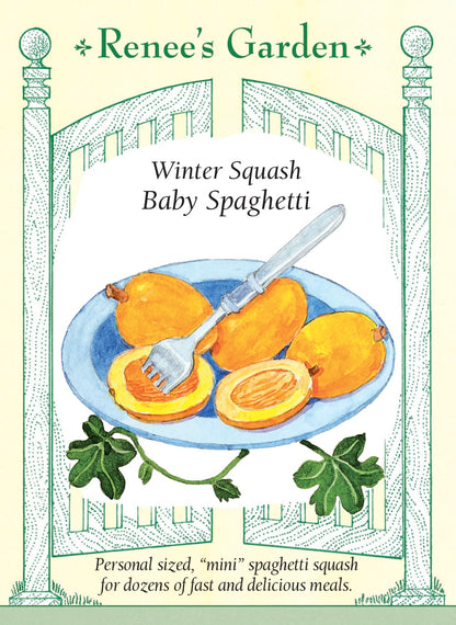 Winter Squash - Baby Spaghetti