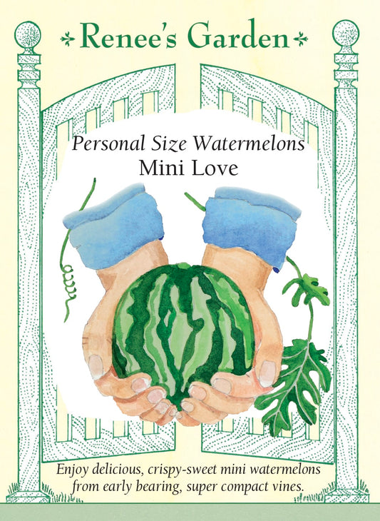 Personal Size Watermelons - Mini Love