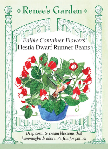 Edible Container Flowers - Hestia Dwarf Runner Beans