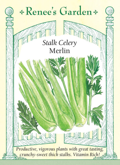 Stalk Celery - Merlin
