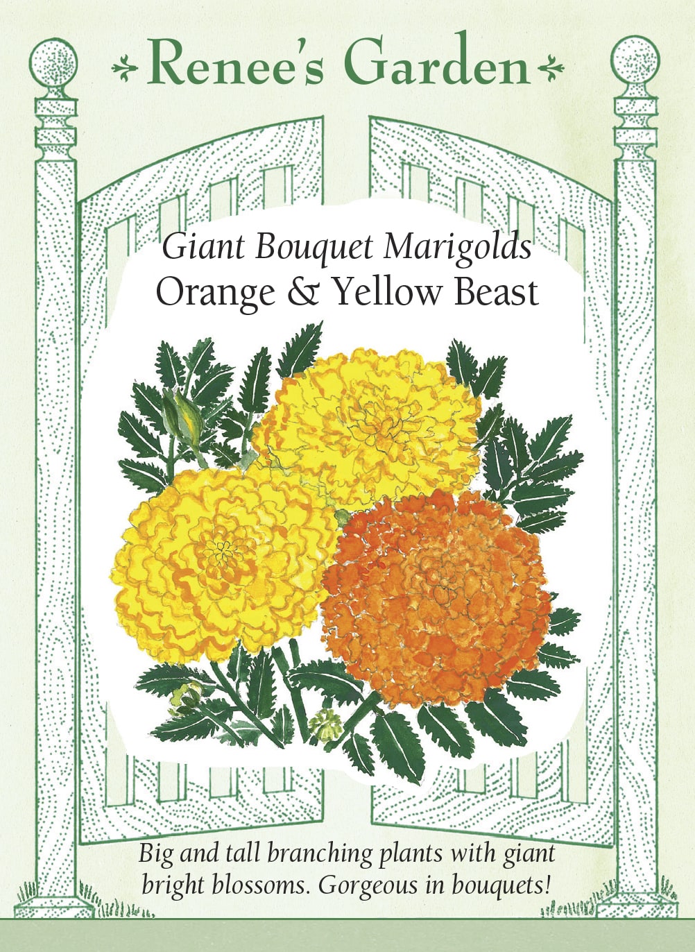 Giant Bouquet Marigolds - Orange & Yellow Beast