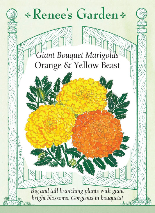Giant Bouquet Marigolds - Orange & Yellow Beast