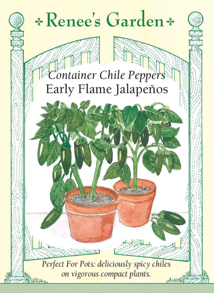 Hand-Picked Seed Bundle - Container Veggies