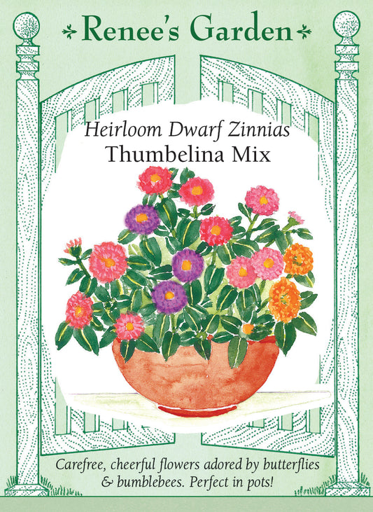 Heirloom Dwarf Zinnias - Thumbelina Mix