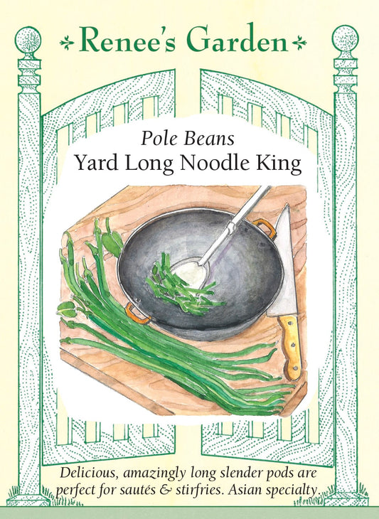 Pole Beans - Yard Long Noodle King