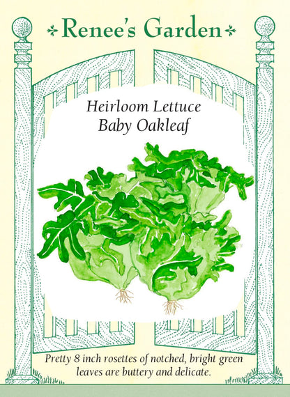 Heirloom Lettuce - Baby Oakleaf