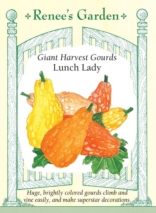 Giant Harvest Gourds - Lunch Lady
