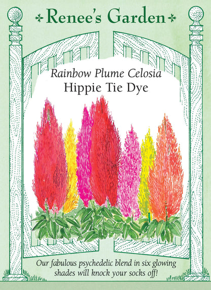 Rainbow Plume Celosia - Hippie Tie Dye