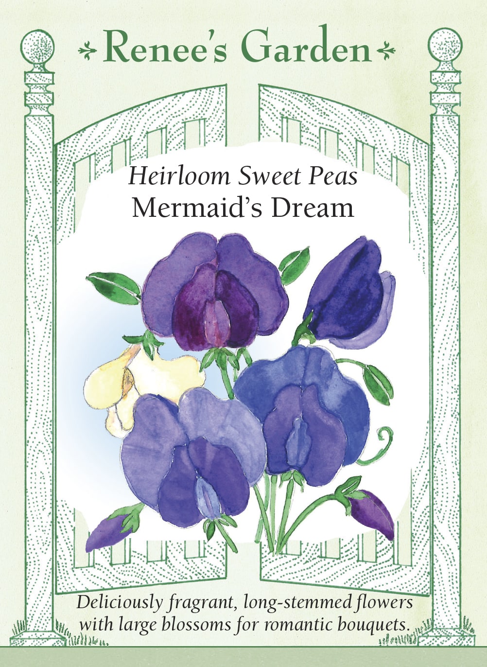 Heirloom Sweet Peas - Mermaid's Dream