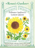Pollinator Sunflowers - Lemon Queen