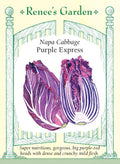 Napa Cabbage - Purple Express