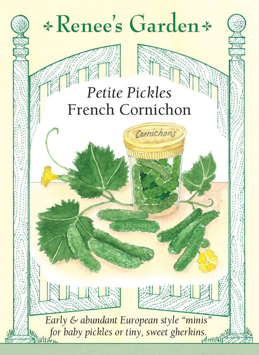 Petite Pickles - French Cornichon