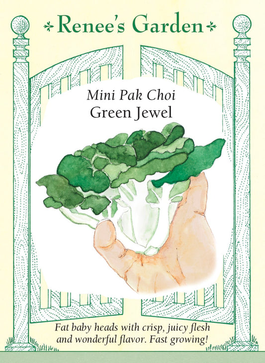 Mini Pak Choi - Green Jewel