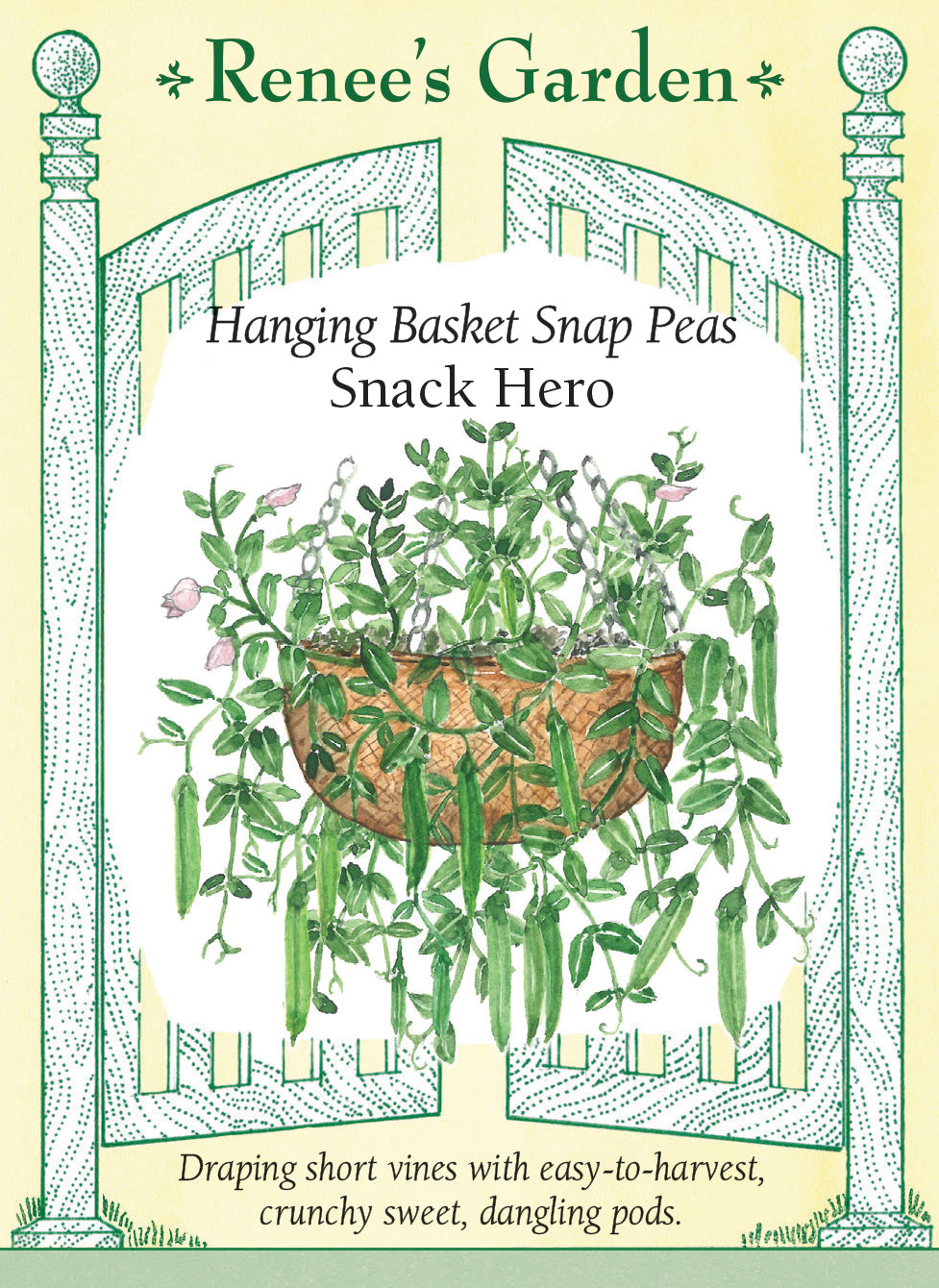 Hanging Basket Snap Peas - Snack Hero