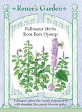 Pollinator Herbs - Root Beer Hyssop
