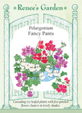 Pelargonium - Fancy Pants