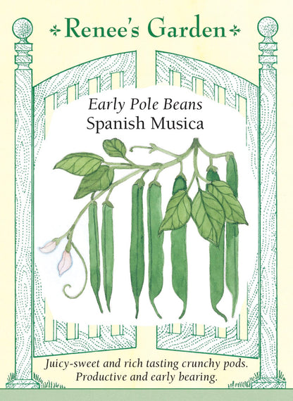 Early Pole Beans - Spanish Musica