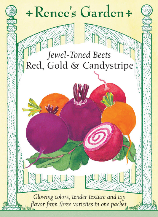 Jewel-Toned Beets - Red, Gold & Candystripe