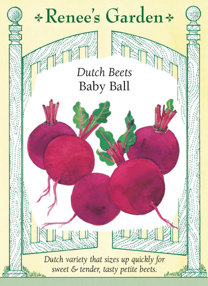 Dutch Beets - Baby Ball
