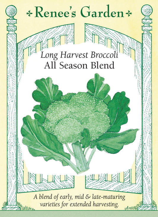 Long Harvest Broccoli - All Season Blend