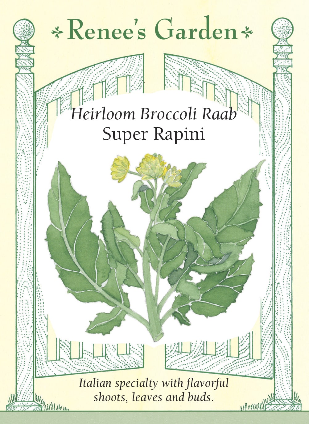 Heirloom Broccoli Raab - Super Rapini