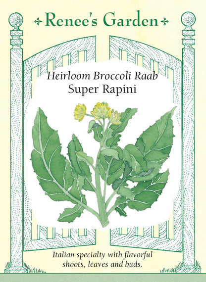 Heirloom Broccoli Raab - Super Rapini