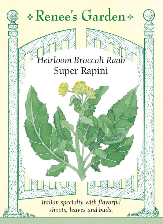 Heirloom Broccoli Raab - Super Rapini